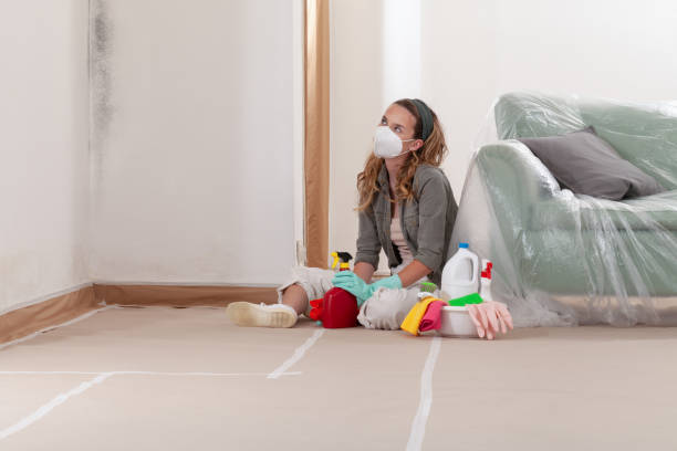 Reliable Basement Mold Remediation contractor in Sims, NC by WQB Mold Removal